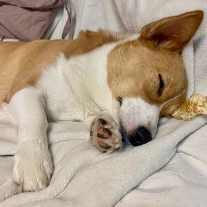 Meet your Posher, Ryann